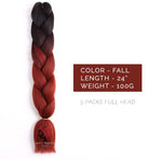 Ombre Braids