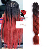 Ombre Braids